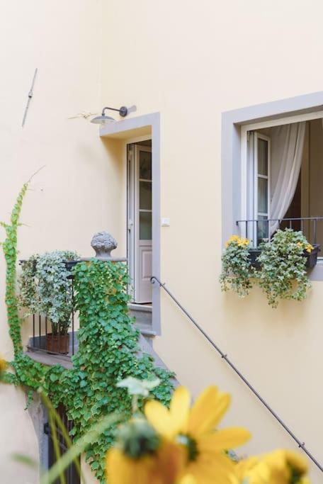 Corte Paolina - Charming Courtyard Inside 卢卡 外观 照片