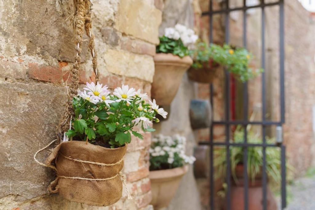 Corte Paolina - Charming Courtyard Inside 卢卡 外观 照片