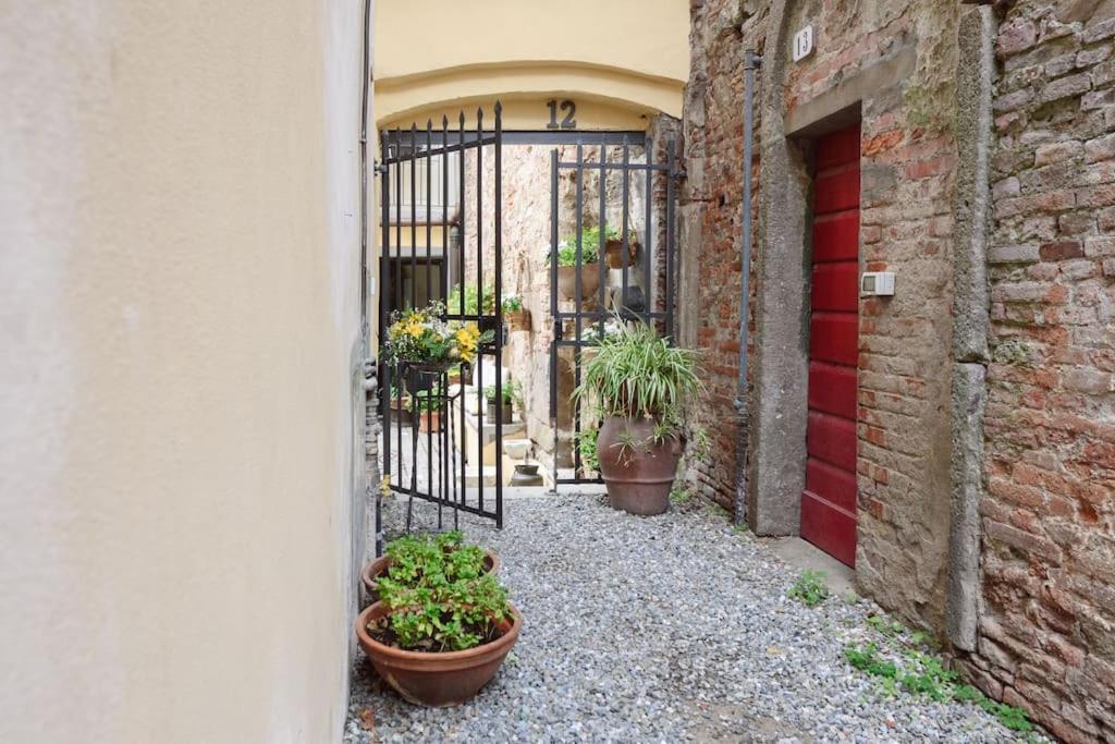 Corte Paolina - Charming Courtyard Inside 卢卡 外观 照片