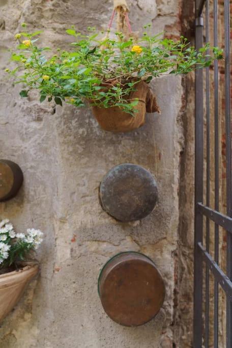 Corte Paolina - Charming Courtyard Inside 卢卡 外观 照片